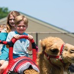 Kids enjoying a camel ride.