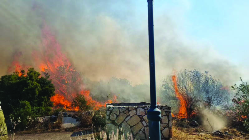 Fires in the orchards of Yiftah.