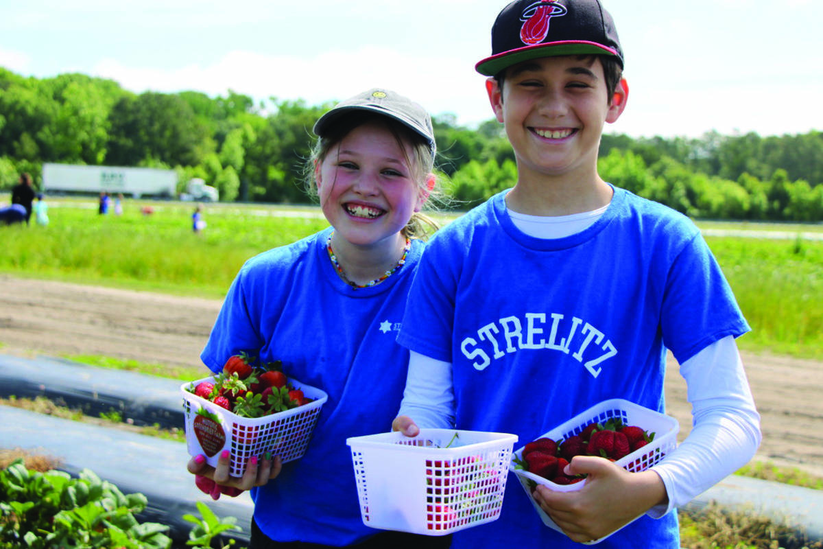 Quinn and Levi display their strawberries.