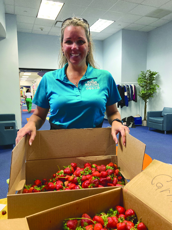 Teresa Licato with ForKids collects strawberries donated by SIA Primary Years students.