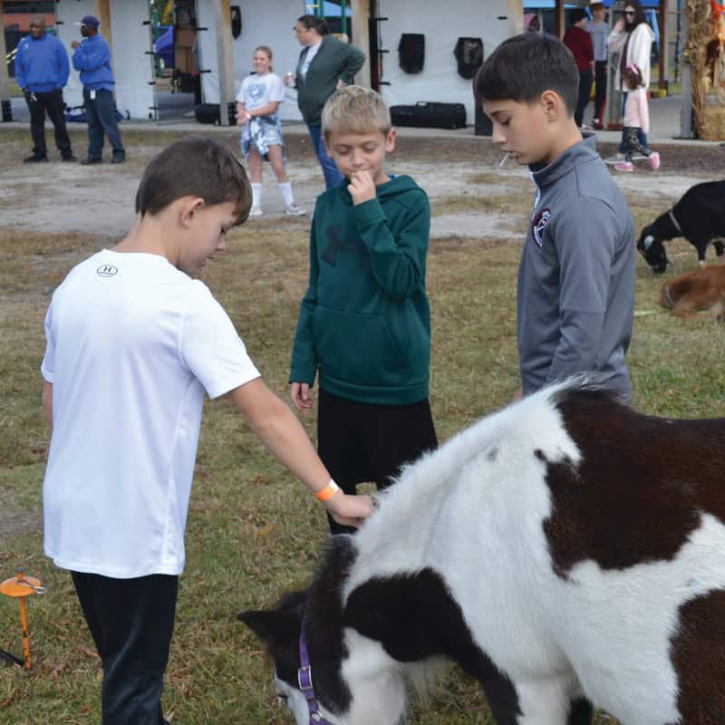 Honzy, Andrew and Levi pet the pony, Unger.