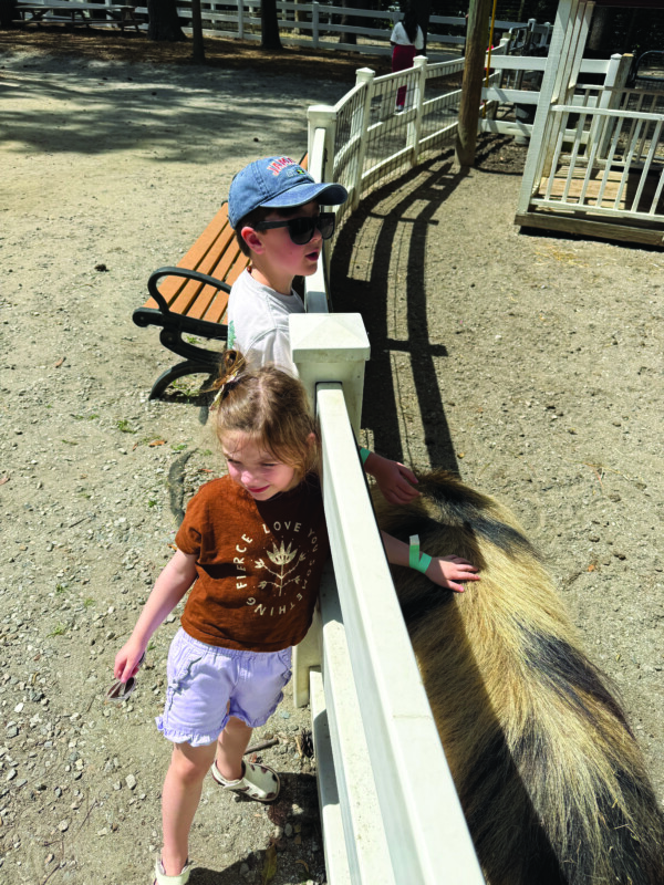 Liam and Mollie Glassman pet a pig.