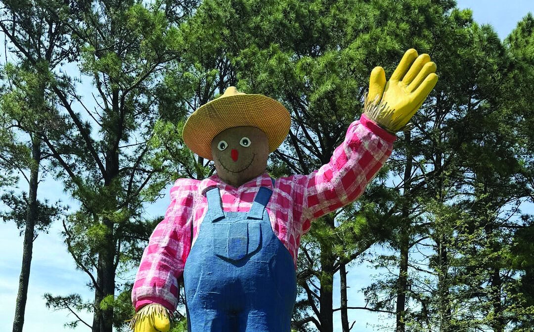 Sunday Fun Day: Down on the farm