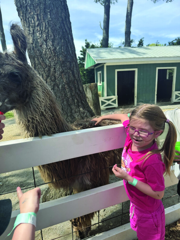 Lia Oliszewski feeds the alpaca.
