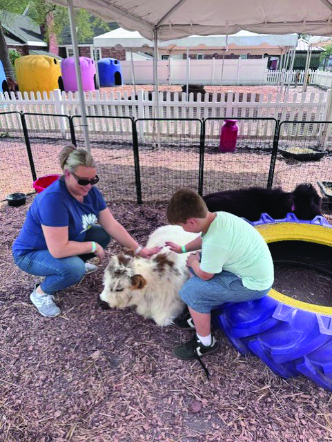 Amy and Liam Yashaev enjoy cuddling with the highland cows.