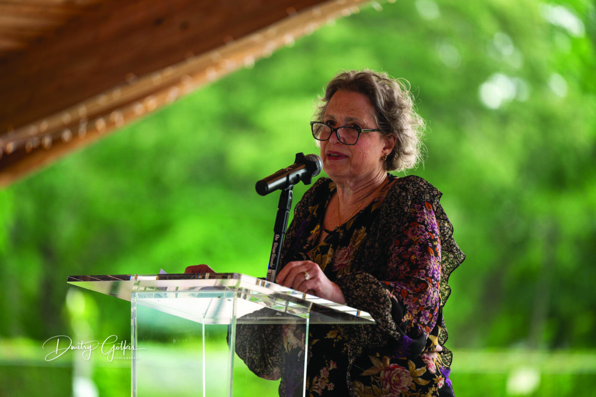 Alene Jo Kaufman, chair of UJFT’s Jewish Innovation Steering committee.