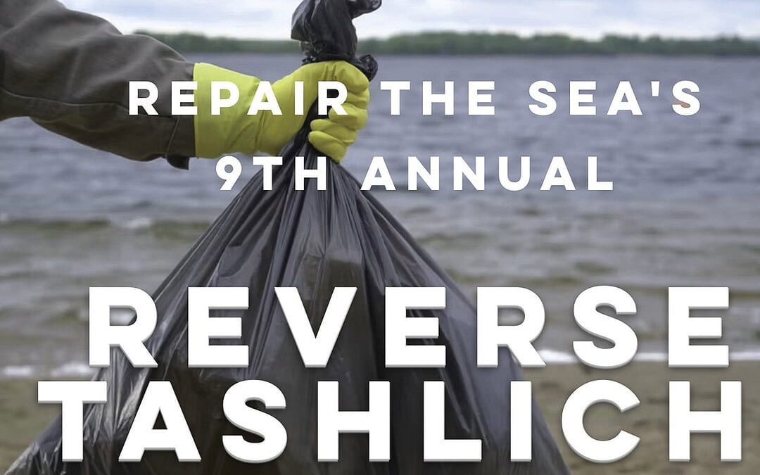 Reverse Tashlich: Repentance as environmental action